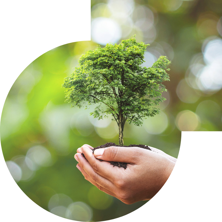 关怀人类、文化、环境与社会